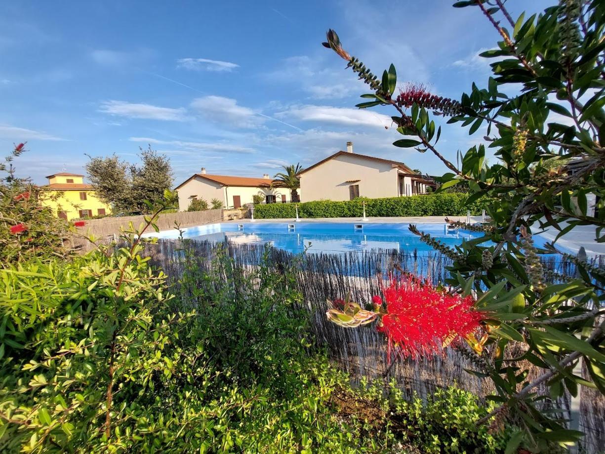 Agriturismo Il Tripesce Vada Exterior photo